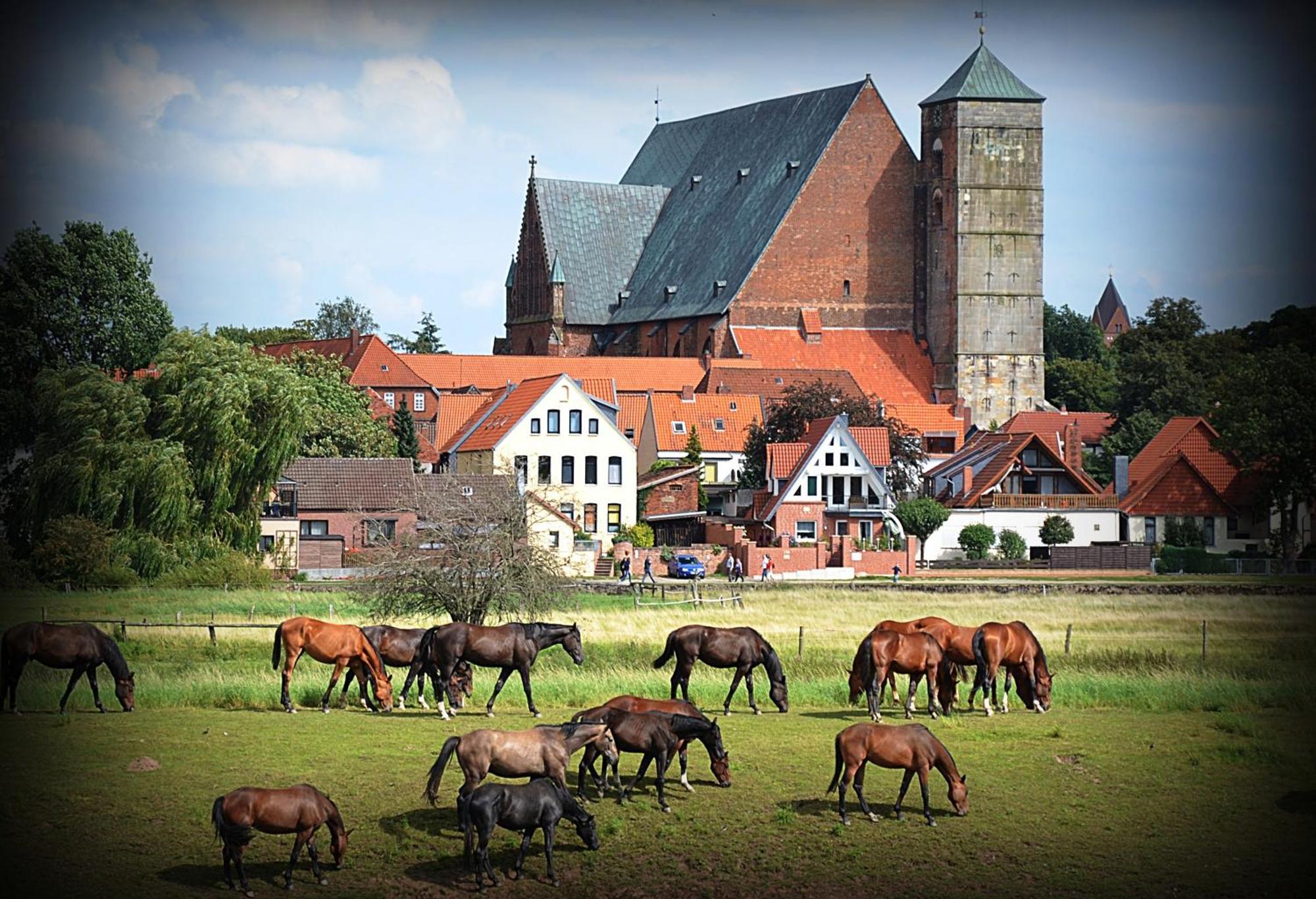 Landhotel Zur Linde Verden an der Aller Exterior foto